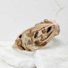 Accessories Treasure Jewels Hair Accessories | From The Desert Nude Beaded Headband Beige